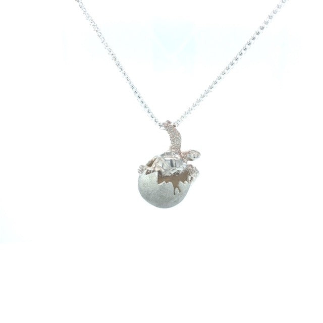 Sterling Silver Turtle on silver chain