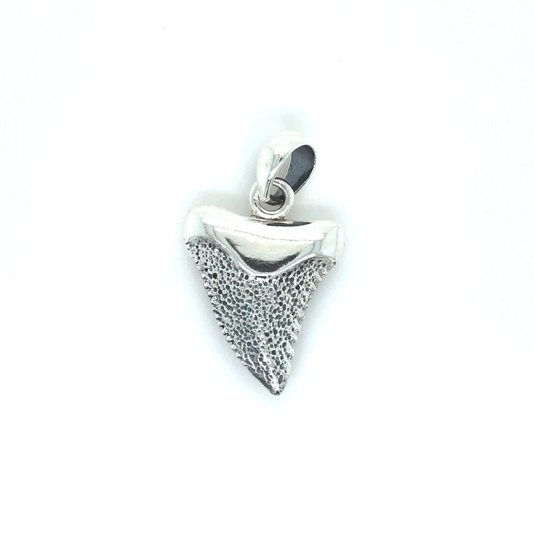 Sterling Silver Shark Tooth Pendant - Barbara Anne's Jewelry