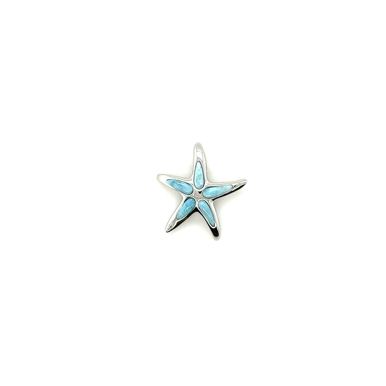 Larimar Starfish Pendant - Barbara Anne's Jewelry 