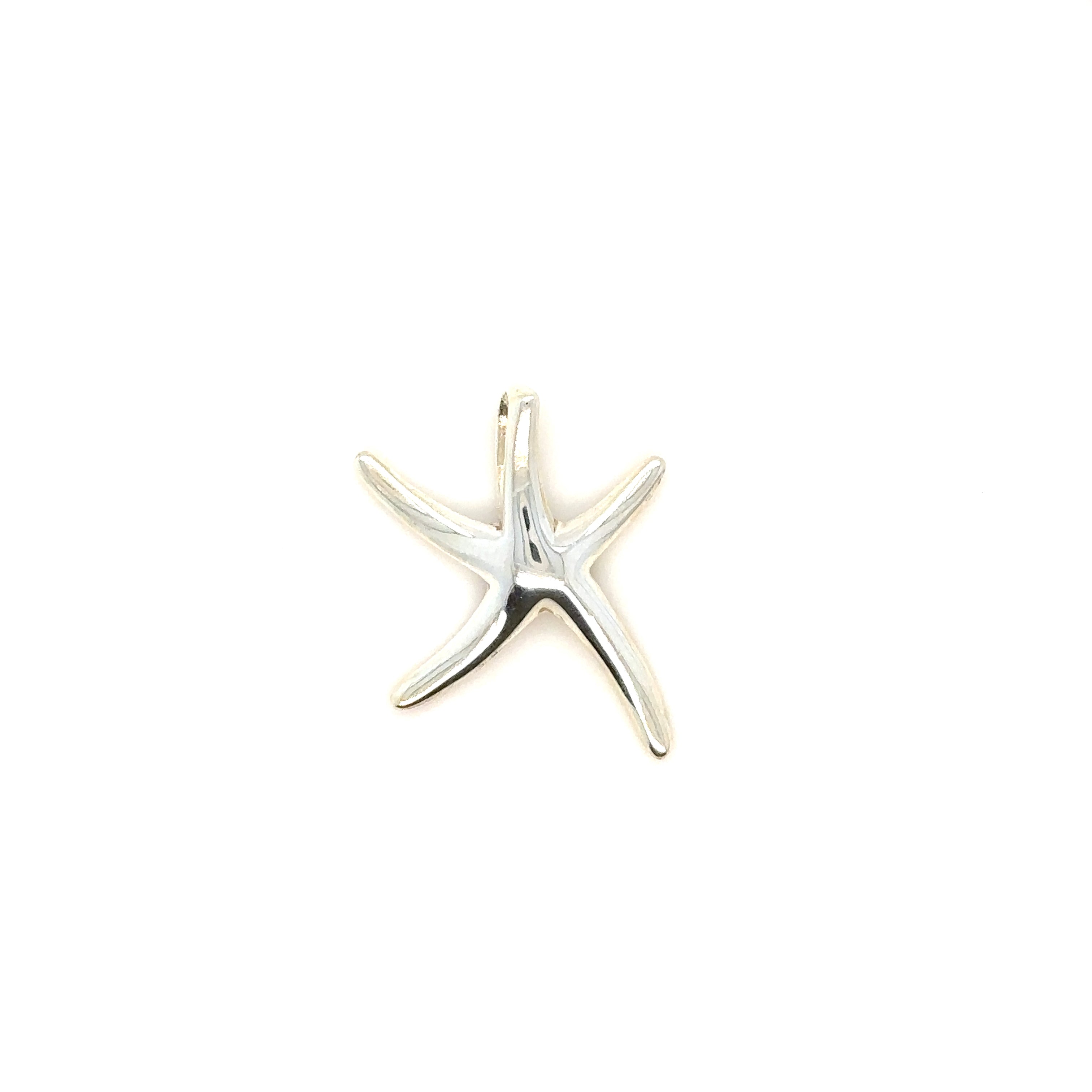 Sterling Silver Starfish Pendant - Barbara Anne's Jewelry 