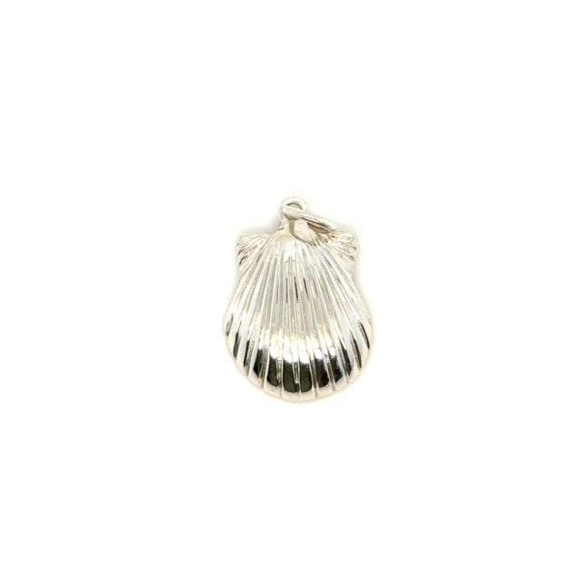 Sterling Silver Shell Pendant - Barbara Anne's Jewelry 