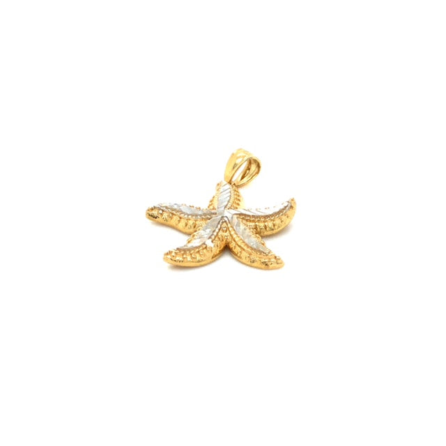 14k Gold Starfish Pendant - Barbara Anne's Jewelry 