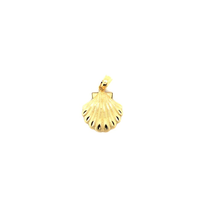 14k Gold Sea Shell Pendant - Barbara Anne's Jewelry 