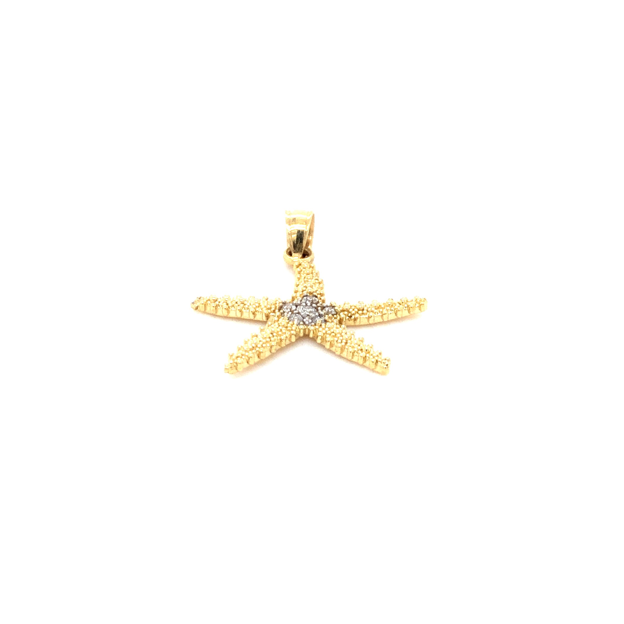 14k Gold Starfish Pendant - Barbara Anne's Jewelry 