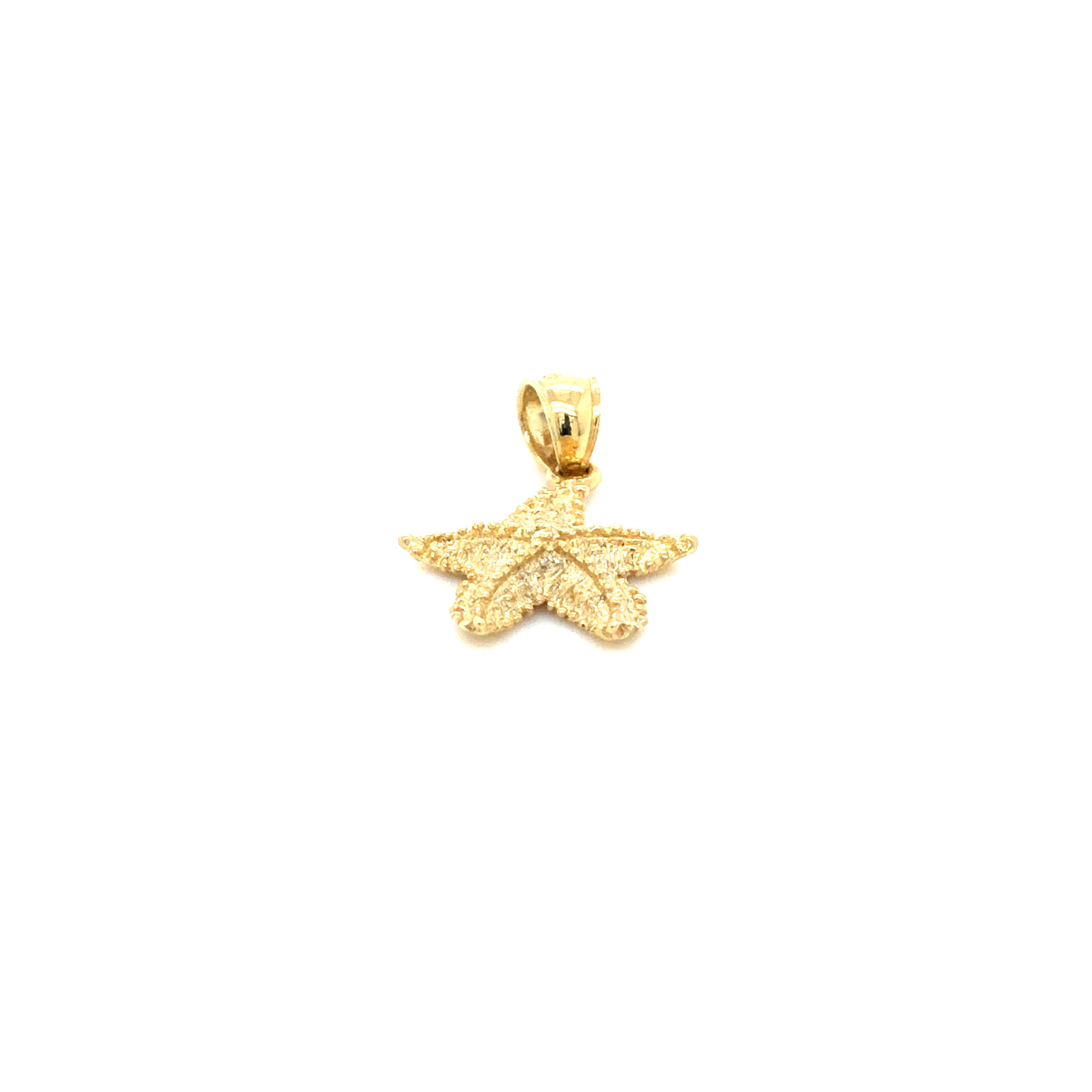 14k Gold Starfish Pendant - Barbara Anne's Jewelry 