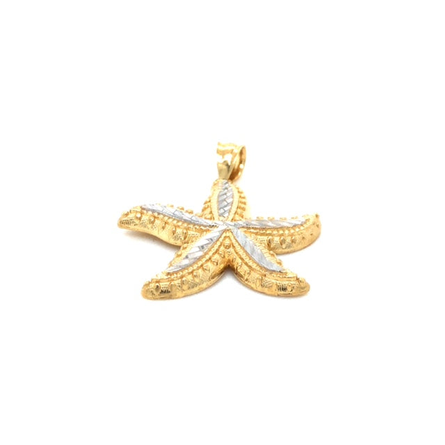 14k Gold Starfish Pendant - Barbara Anne's Jewelry 