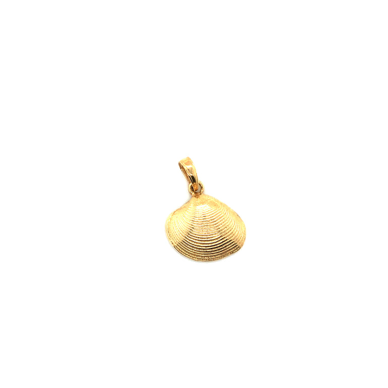 14k Gold Sea Shell Pendant - Barbara Anne's Jewelry 