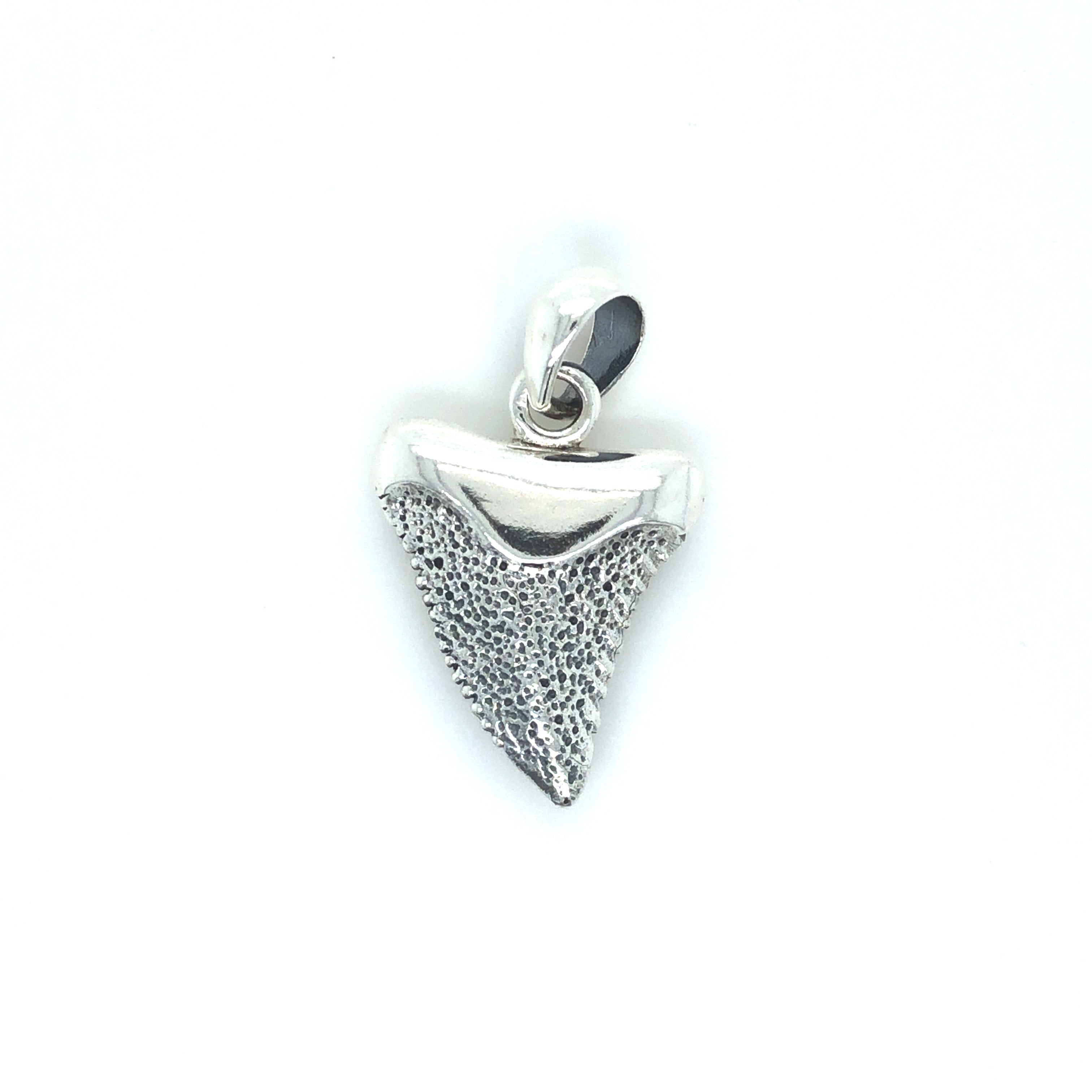 Sterling Silver Shark Tooth Pendant - Barbara Anne's Jewelry 